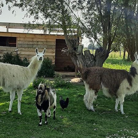 Chambre Coin Nature Fromelles Δωμάτιο φωτογραφία