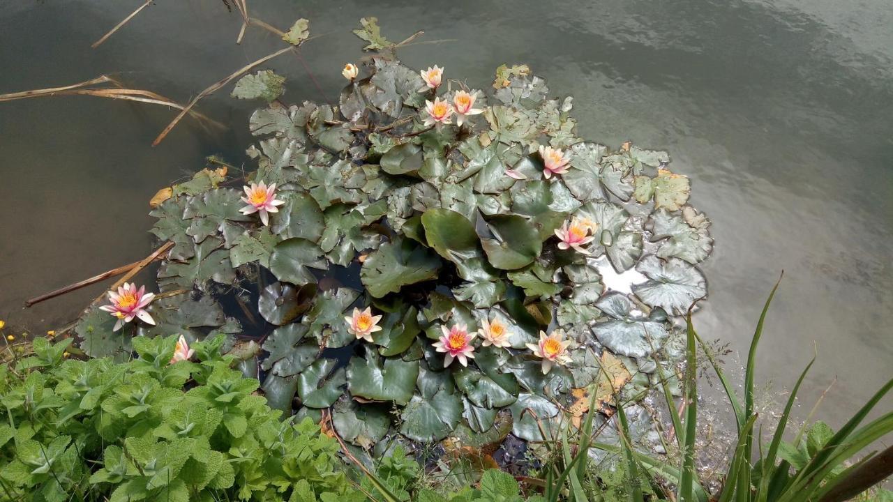 Chambre Coin Nature Fromelles Εξωτερικό φωτογραφία