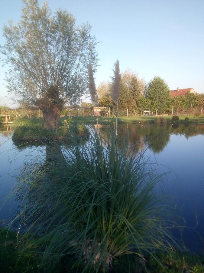 Chambre Coin Nature Fromelles Εξωτερικό φωτογραφία