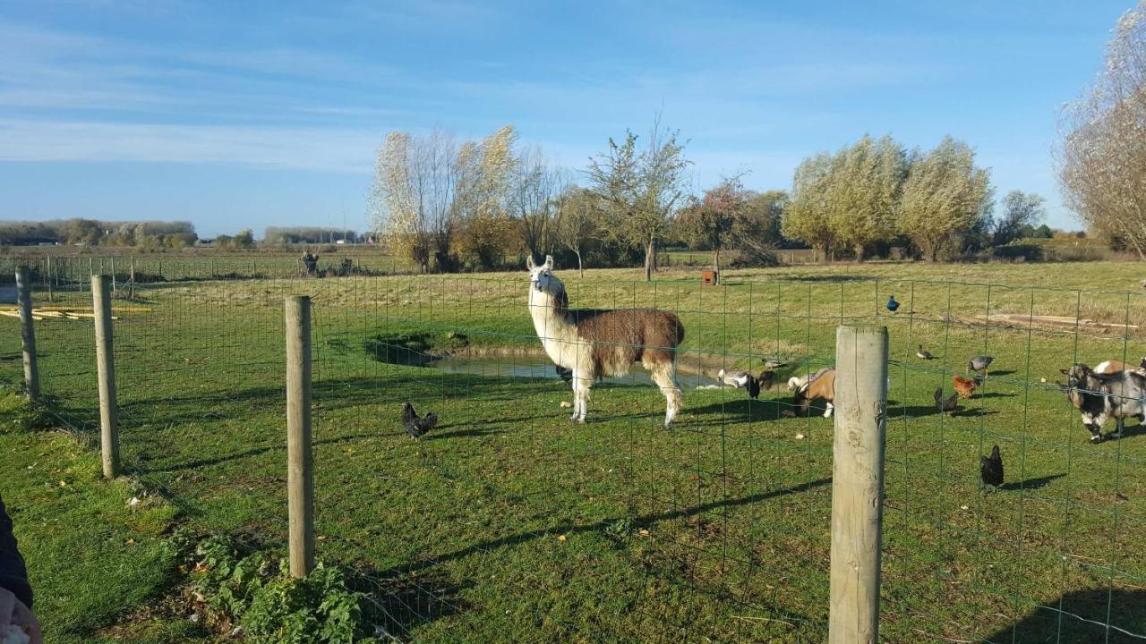 Chambre Coin Nature Fromelles Εξωτερικό φωτογραφία