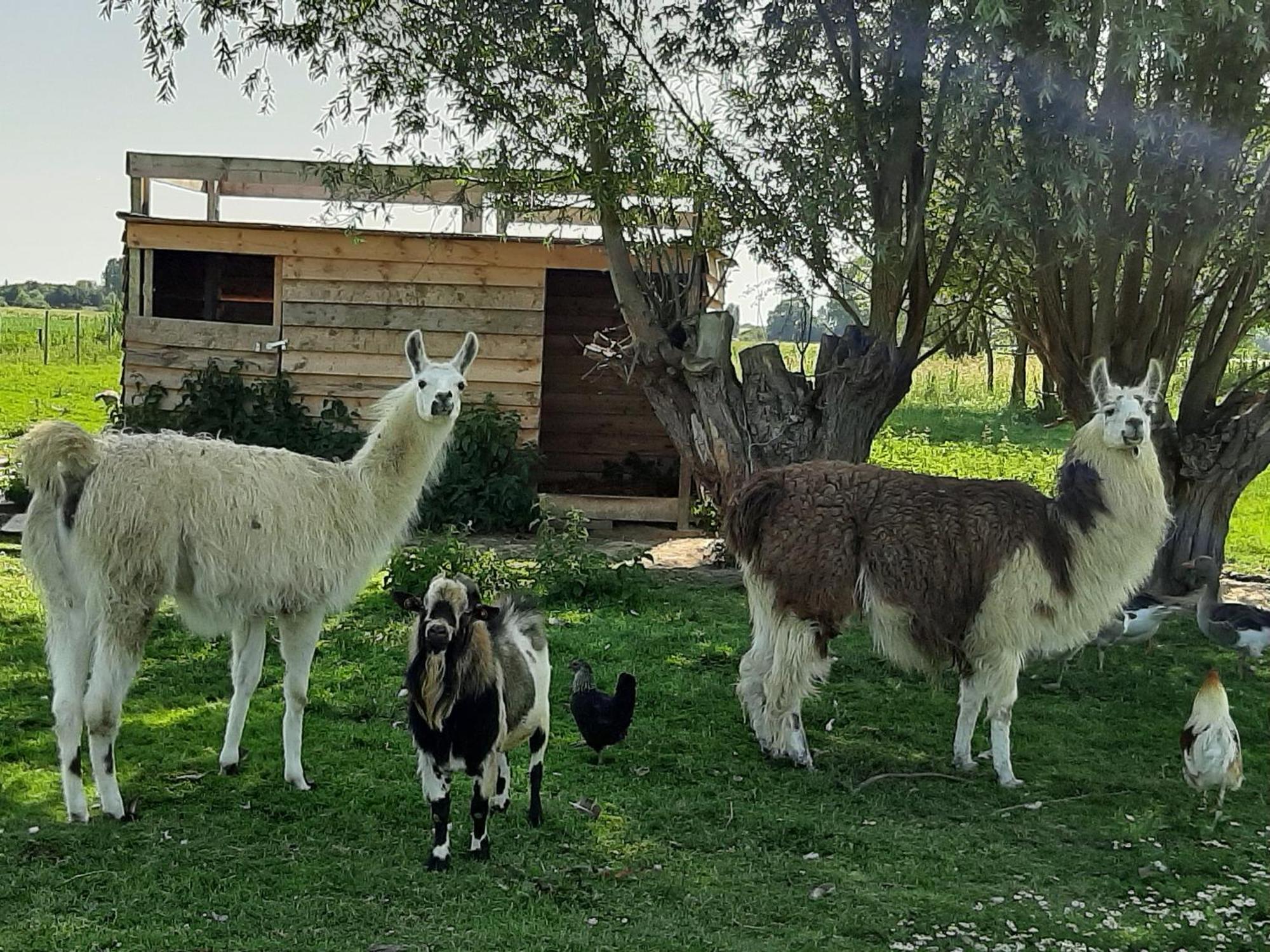 Chambre Coin Nature Fromelles Δωμάτιο φωτογραφία